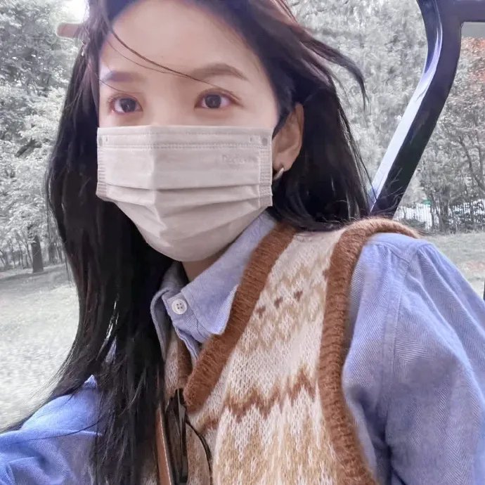 天梯:蔡国强的艺术